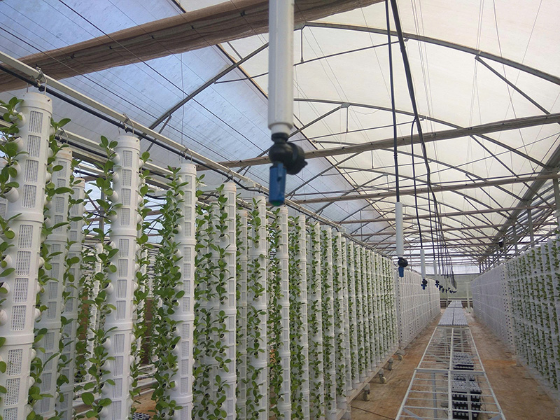 Thiết kế thi công tưới phun sương cho anh Long - Đà Lạt